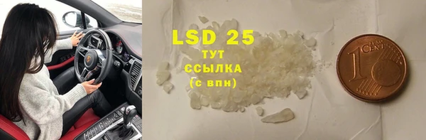 СК Осинники