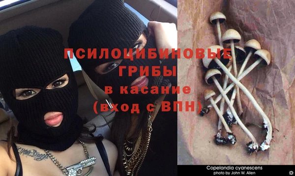 СК Осинники