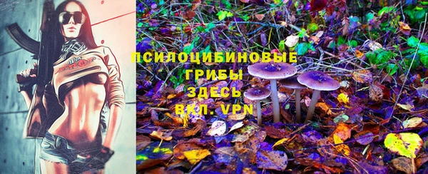 mix Переславль-Залесский