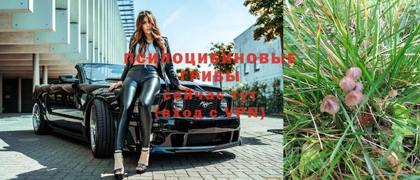 СК Осинники