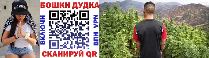Шишки марихуана сатива дарк нет наркотические препараты Лангепас